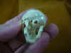skull-4 (5).JPG (147256 bytes)