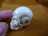 skull-3 (3).JPG (147460 bytes)