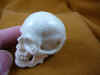 skull-5 (3).JPG (146491 bytes)
