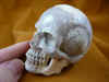 skull-9 (1).JPG (142574 bytes)