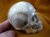 skull-9 (3).JPG (153122 bytes)