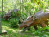 23 Styracosaurus.JPG (40885 bytes)
