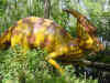 27 Parasaurolophus.JPG (39474 bytes)