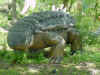 47 Hylaeosaurus.JPG (40549 bytes)
