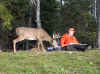 animal deer photo.jpg (47015 bytes)
