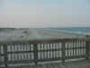 Tybee beach from pier.JPG (37212 bytes)