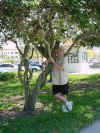 Venice Glenn holding up tree.JPG (40601 bytes)