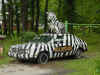 Zebra car.JPG (40490 bytes)