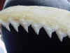 Silky shark jaw closeup.JPG (37208 bytes)