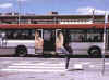 bus ad 3.jpg (31459 bytes)